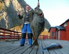  www.lofoten-fishing.de 