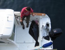  www.lofoten-fishing.de 