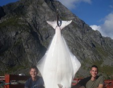  www.lofoten-fishing.de 