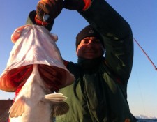  www.lofoten-fishing.de 