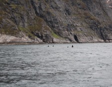  www.lofoten-fishing.de 