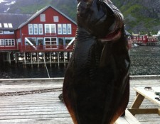  www.lofoten-fishing.de 