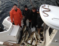  www.lofoten-fishing.de 