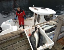  www.lofoten-fishing.de 