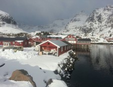  www.lofoten-fishing.de 