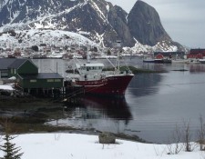  www.lofoten-fishing.de 