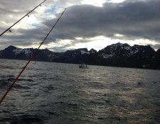  www.lofoten-fishing.de 