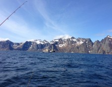  www.lofoten-fishing.de 