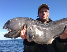  www.lofoten-fishing.de 