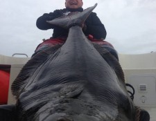  www.lofoten-fishing.de 