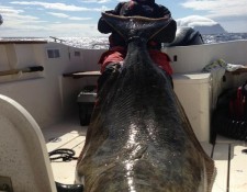  www.lofoten-fishing.de 