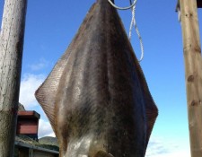  www.lofoten-fishing.de 