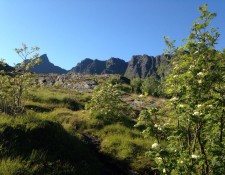  www.lofoten-fishing.de 