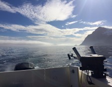  www.lofoten-fishing.de 