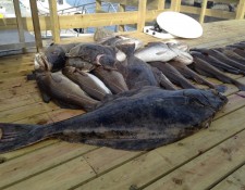  www.lofoten-fishing.de 