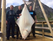  www.lofoten-fishing.de 