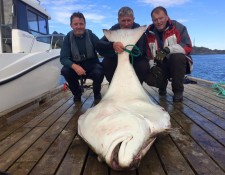  www.lofoten-fishing.de 