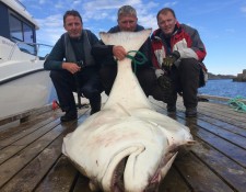  www.lofoten-fishing.de 