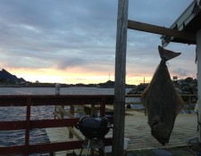  www.lofoten-fishing.de 