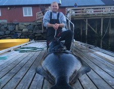  www.lofoten-fishing.de 