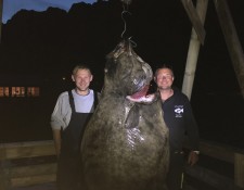  www.lofoten-fishing.de 