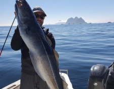  www.lofoten-fishing.de 