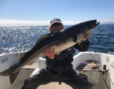  www.lofoten-fishing.de 