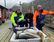  www.lofoten-fishing.de 