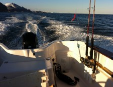  www.lofoten-fishing.de 
