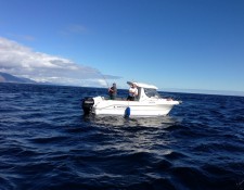  www.lofoten-fishing.de 